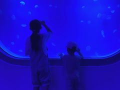 -福州罗源湾海洋世界旅游区