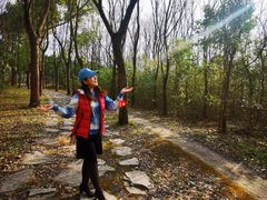 -昆山城市生态森林公园