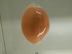 android_upload_pic-青岛贝壳博物馆