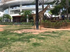 -灵玲国际马戏城