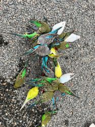 -萌宠亲子动物乐园(槐房万达店)