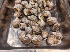 -胶东海鲜大排档(北太平庄店)
