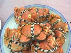 iphone_upload_pic-丫丫蟹庄·苏式园林农家乐·阳澄湖大闸蟹(阳澄湖莲花岛店)