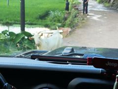 -楠溪江风景名胜区