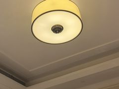 -南京东郊国宾馆