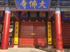 -张掖大佛寺景区