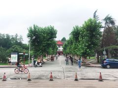 -四川大学(望江校区)
