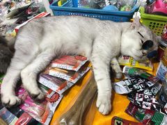 -吴山路夜市