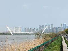 -南京眼步行桥