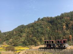 -塔川景区