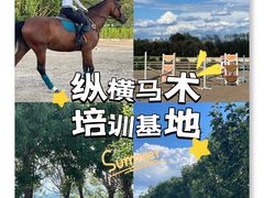 -北京群众马术培训基地