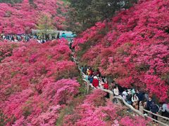 -木兰云雾山