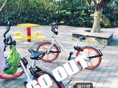 -情侣路