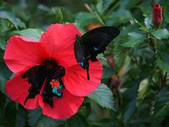 -上海动物园(地铁站)