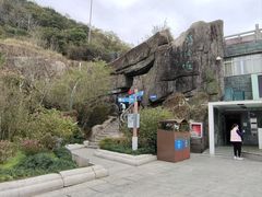 -梧桐山风景名胜区