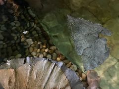 -泉城欧乐堡戏水湾艺术养生温泉