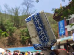 -西双版纳原始森林公园