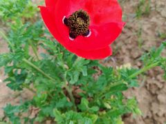 -皇粮浜湿地公园