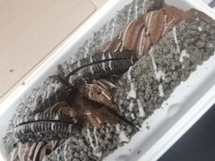 -奈雪的茶(石家庄万象城店)