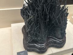 -安徽省地质博物馆