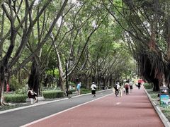 -南宁南湖公园