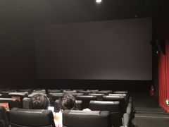 -华谊兄弟影院(IMAX洋桥店)