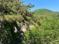 -潭柘寺景区