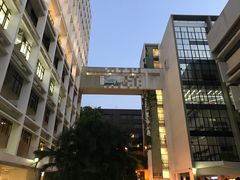 -香港大学