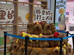 -凯德MALL(西直门店)