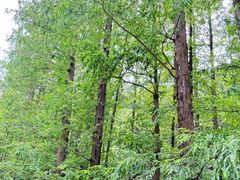 -北京植物园南门售票处