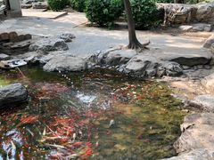 -廊坊市自然公园
