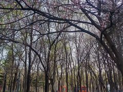 -黛秀湖公园