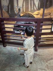 -酷嗒动物文化乐园(cutezoo西溪乐天城店)