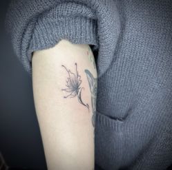 -刺客纹画·纹身·洗纹身.穿孔饰品