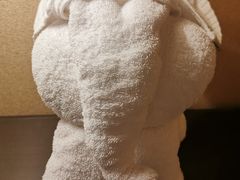 -宁波万豪酒店