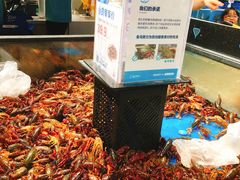 -盒马鲜生(曜一城店)
