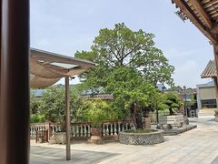 -大门水乡·顺德菜