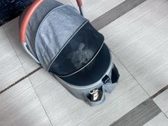 -瑞派紫金宠物医院24小时·骨科·中兽医·重症转诊中心(番禺大石院)