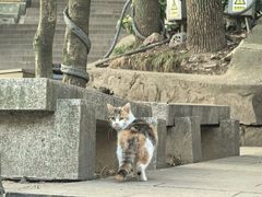 -狼山风景名胜区