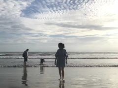 -东姑阿都拉曼海洋公园