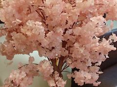 -后宫私房菜(汇客美食娱乐广场店)