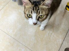 -双月饭店·20年老字号(新村店)