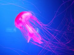 -皇家极地海洋世界-售票处