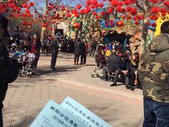 -朝阳公园游乐园