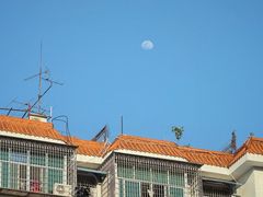 -厦门园林博览苑
