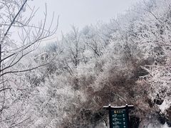 -北京凤凰岭