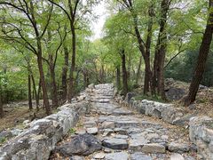 -阳台山自然风景区