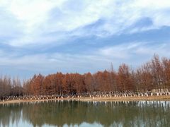 -苏州太湖国家湿地公园