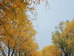 -野鸭湖国家湿地公园