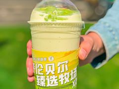 -茉酸奶(春熙路店)